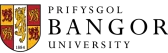 BUIC-Logo_Horizontal_CMYK-01-e1770827030518